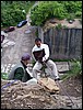 Filename026.jpg