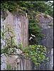Filename037.jpg